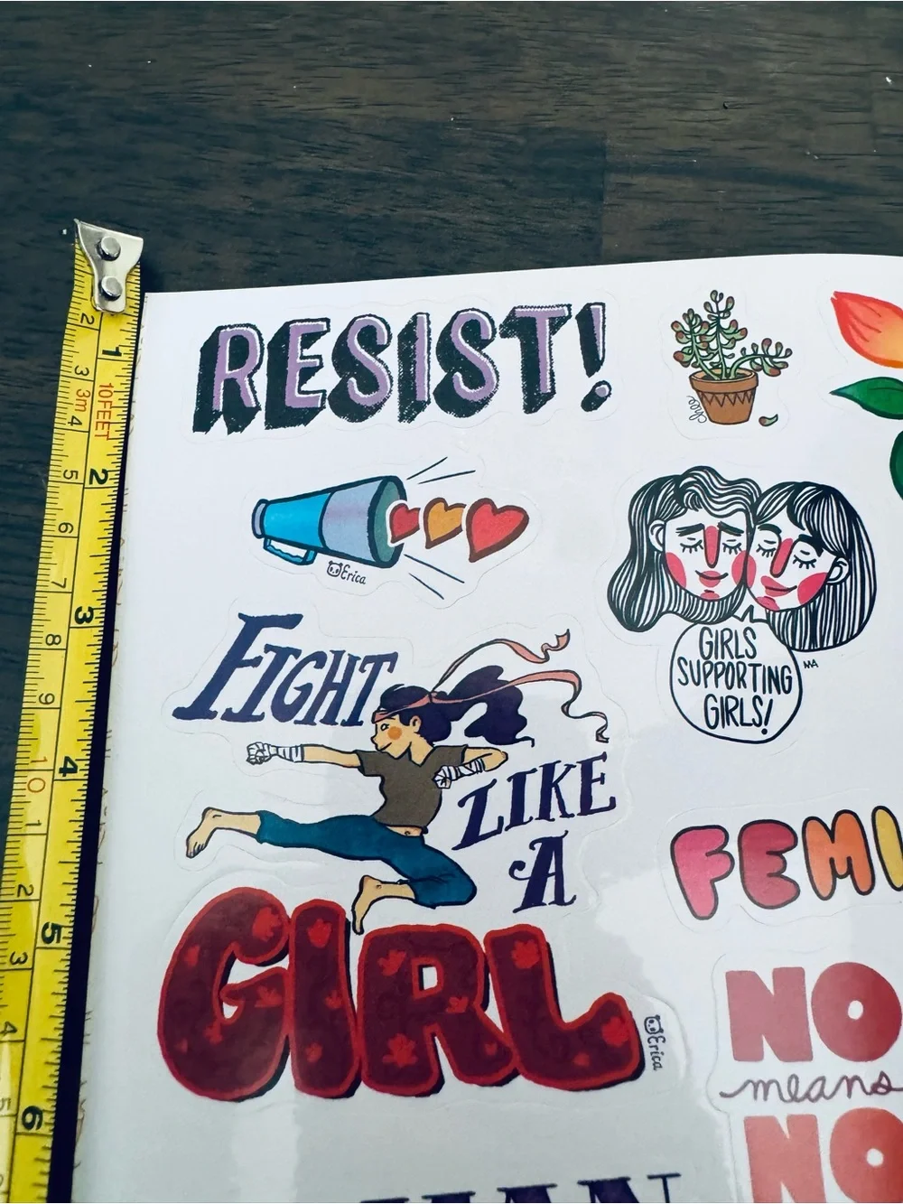 Feminist Female Resist Stickers